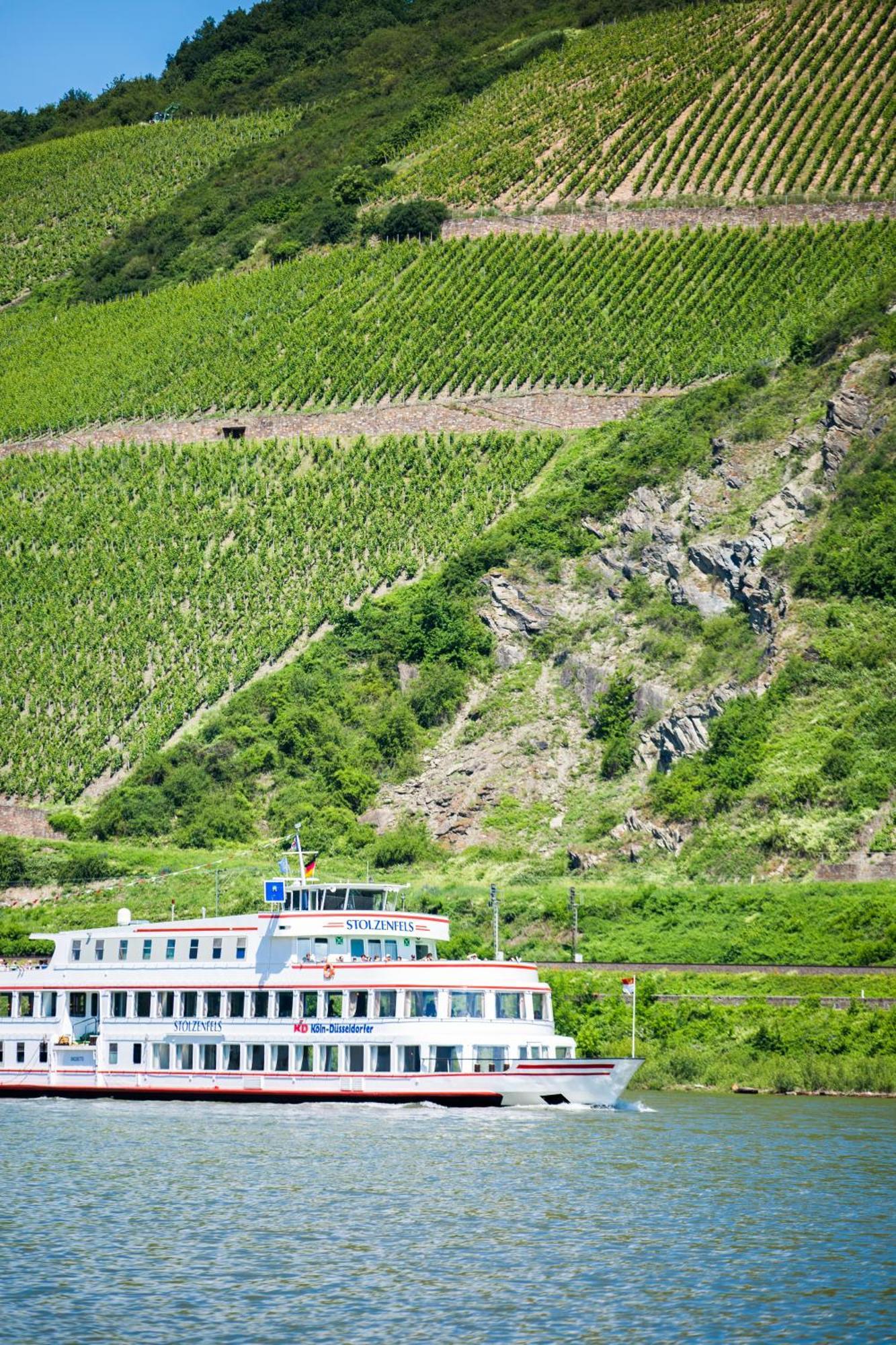 Hotel Winzerhof Ross & Rose à Trechtingshausen Extérieur photo